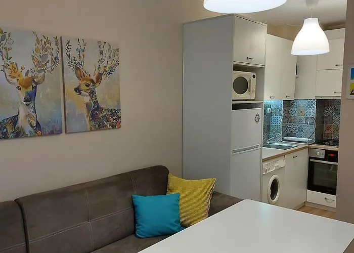 Hostex Meraki * Stara Zagora